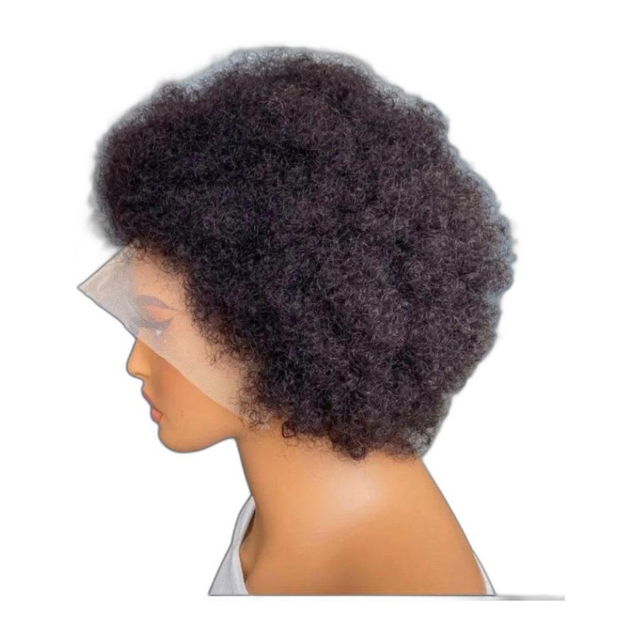 Afro Kinky Curly Lace Wig — Natural Volume
